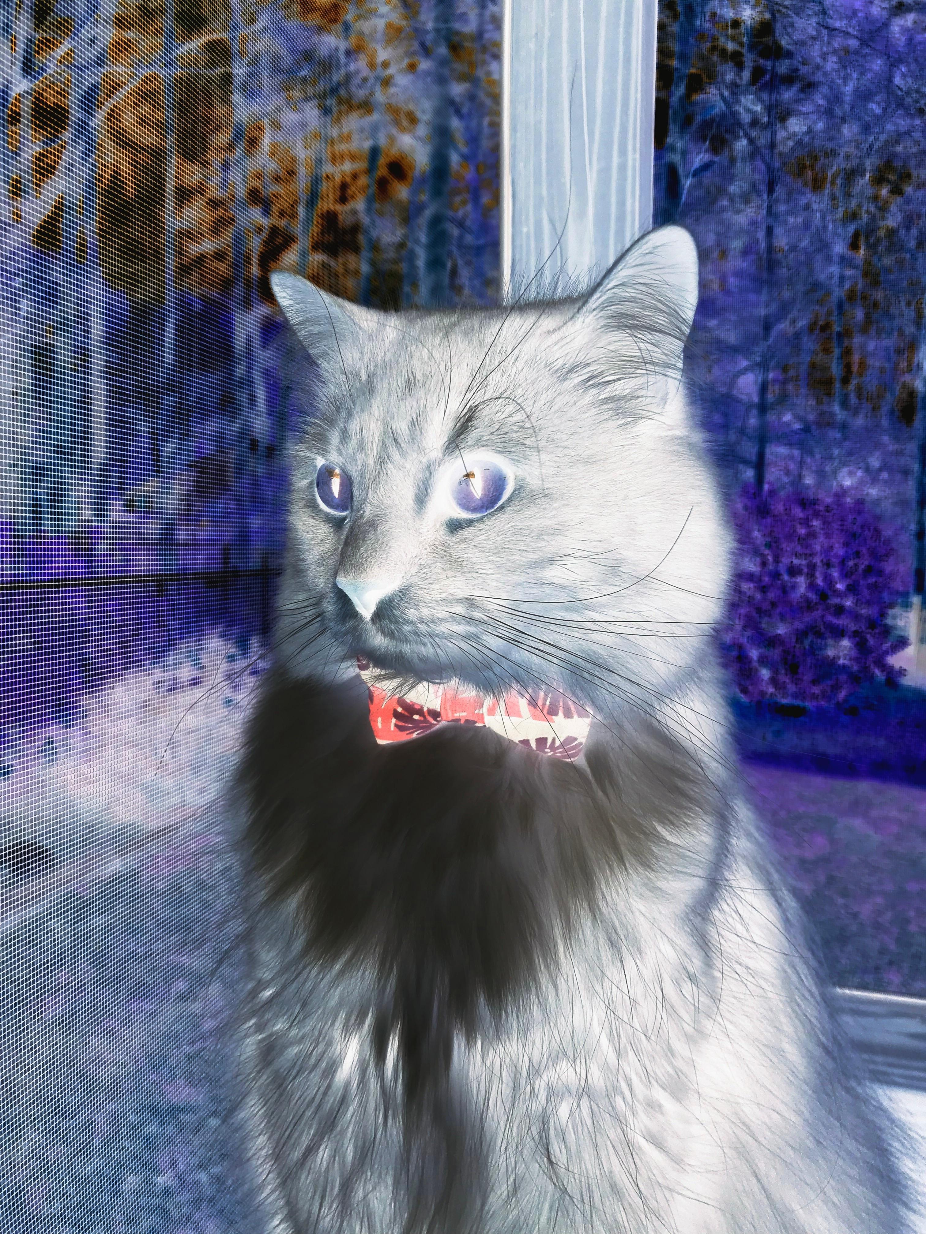 一节比赛打崩吉林！深圳隐藏核弹恩比德突然引爆