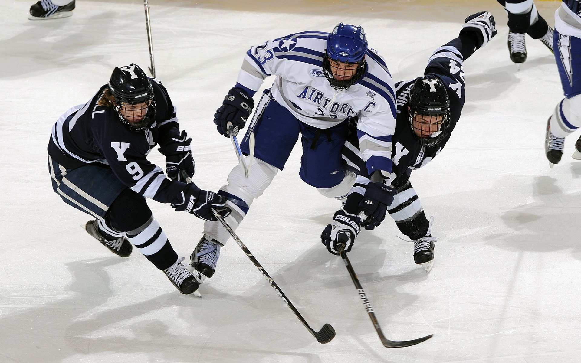 莺歌展翅撕碎西部悬念，雄鹿铁蹄踏平波特兰，季后赛的暗涌正在成形